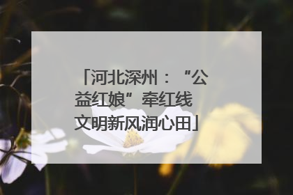 河北深州：“公益红娘”牵红线 文明新风润心田