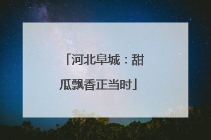 河北阜城：甜瓜飘香正当时