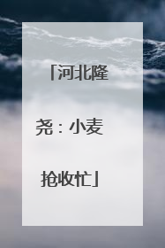 河北隆尧：小麦抢收忙