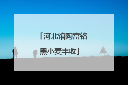河北馆陶富铬黑小麦丰收