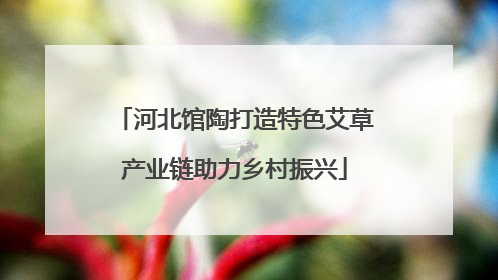 河北馆陶打造特色艾草产业链助力乡村振兴
