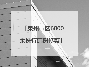 泉州市区6000余株行道树修剪