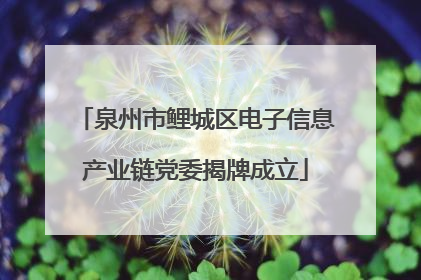 泉州市鲤城区电子信息产业链党委揭牌成立