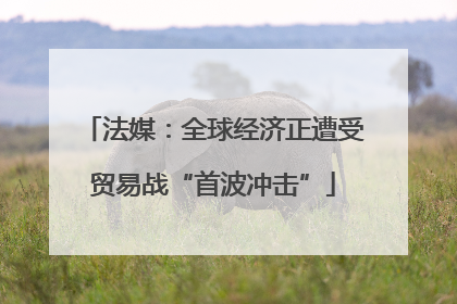 法媒：全球经济正遭受贸易战“首波冲击”