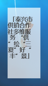 泰兴市供销合作社多维服务 “供”绘“三夏”好“丰”景