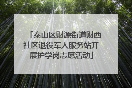 泰山区财源街道财西社区退役军人服务站开展护学岗志愿活动