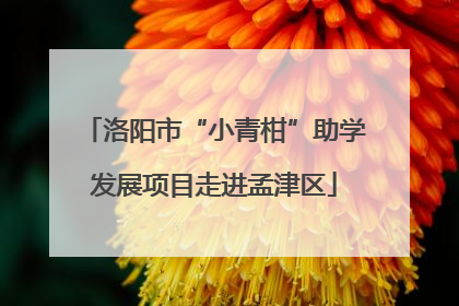洛阳市“小青柑”助学发展项目走进孟津区