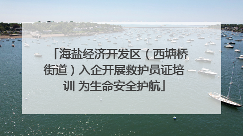海盐经济开发区（西塘桥街道）入企开展救护员证培训 为生命安全护航