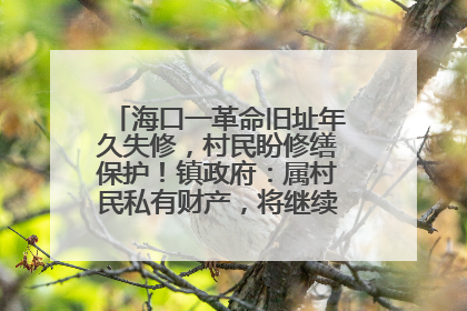 海口一革命旧址年久失修，村民盼修缮保护！镇政府：属村民私有财产，将继续争取修缮资金