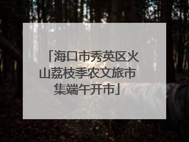 海口市秀英区火山荔枝季农文旅市集端午开市