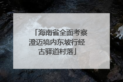 海南省全面考察澄迈境内东坡行经古驿道村落