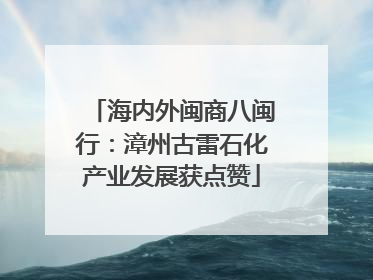海内外闽商八闽行：漳州古雷石化产业发展获点赞