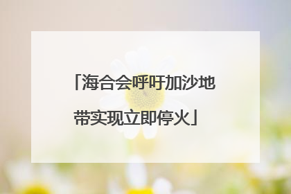 海合会呼吁加沙地带实现立即停火