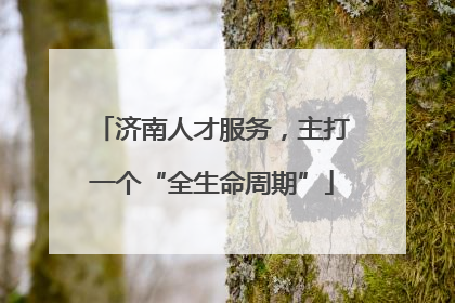 济南人才服务，主打一个“全生命周期”