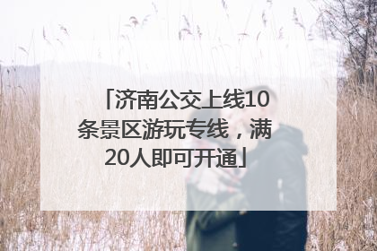 济南公交上线10条景区游玩专线，满20人即可开通