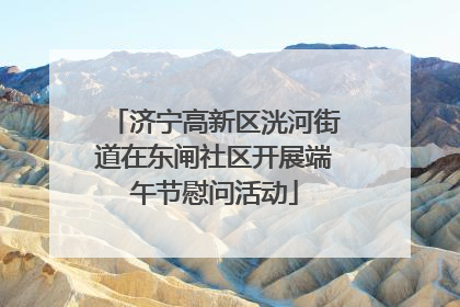 济宁高新区洸河街道在东闸社区开展端午节慰问活动