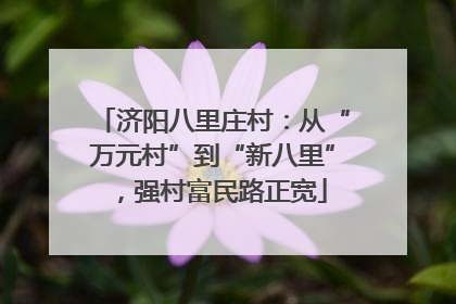 济阳八里庄村：从“万元村”到“新八里”，强村富民路正宽