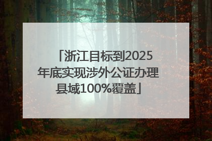 浙江目标到2025年底实现涉外公证办理县域100%覆盖