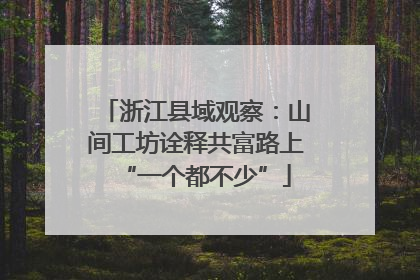 浙江县域观察：山间工坊诠释共富路上“一个都不少”