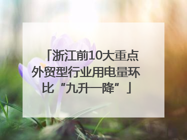 浙江前10大重点外贸型行业用电量环比“九升一降”