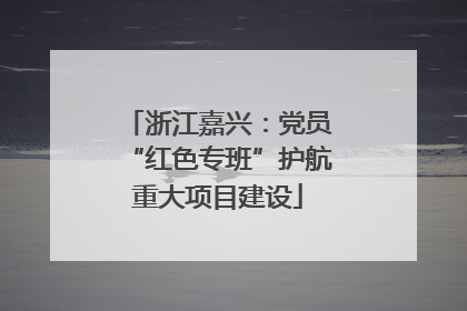 浙江嘉兴：党员“红色专班”护航重大项目建设