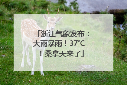 浙江气象发布：大雨暴雨！37℃！桑拿天来了