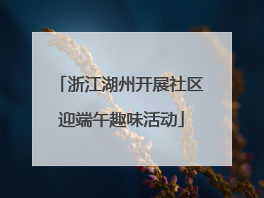 浙江湖州开展社区迎端午趣味活动