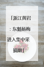 浙江黄岩：东魁杨梅进入集中采摘期