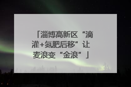 淄博高新区“滴灌+氮肥后移”让麦浪变“金浪”