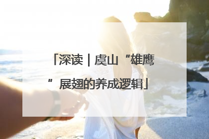 深读｜虞山“雄鹰”展翅的养成逻辑