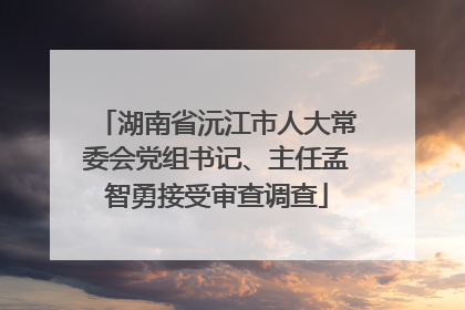 湖南省沅江市人大常委会党组书记、主任孟智勇接受审查调查