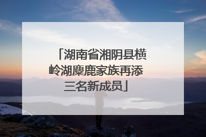 湖南省湘阴县横岭湖麋鹿家族再添三名新成员