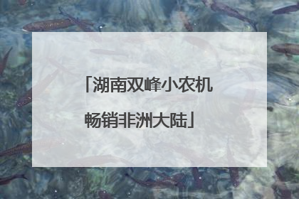 湖南双峰小农机畅销非洲大陆