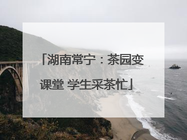 湖南常宁：茶园变课堂 学生采茶忙