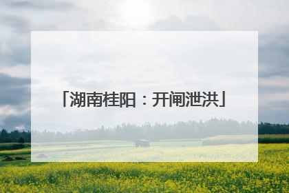 湖南桂阳：开闸泄洪