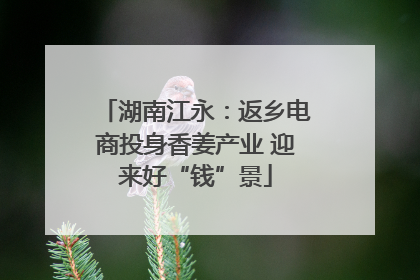湖南江永：返乡电商投身香姜产业 迎来好“钱”景