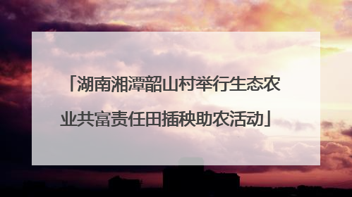 湖南湘潭韶山村举行生态农业共富责任田插秧助农活动