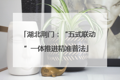 湖北荆门：“五式联动”一体推进精准普法