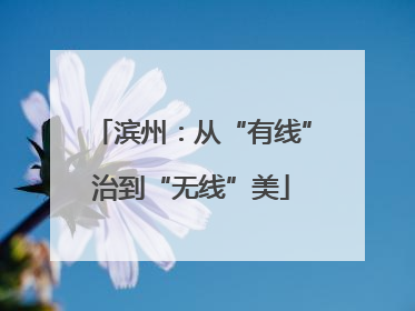 滨州：从“有线”治到“无线”美