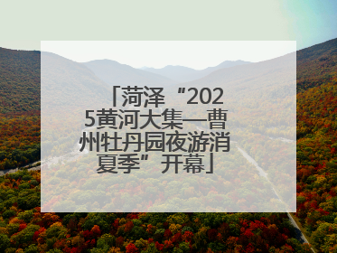 菏泽“2025黄河大集—曹州牡丹园夜游消夏季”开幕