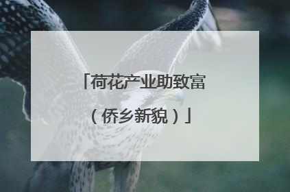 荷花产业助致富（侨乡新貌）