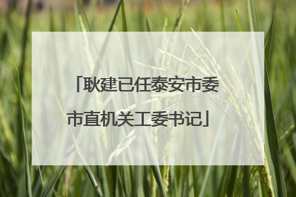 耿建已任泰安市委市直机关工委书记