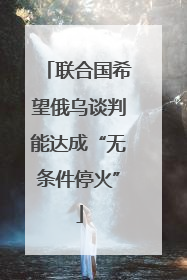联合国希望俄乌谈判能达成“无条件停火”