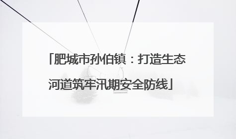 肥城市孙伯镇：打造生态河道筑牢汛期安全防线