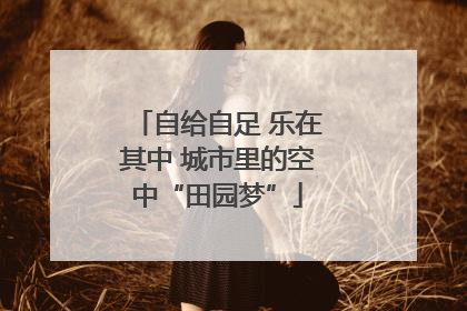 自给自足 乐在其中 城市里的空中“田园梦”