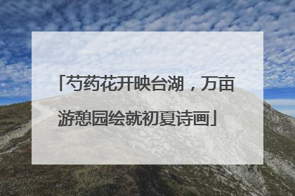 芍药花开映台湖，万亩游憩园绘就初夏诗画