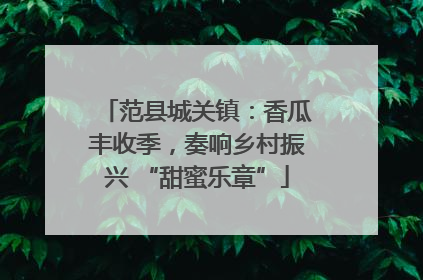 范县城关镇：香瓜丰收季，奏响乡村振兴 “甜蜜乐章”