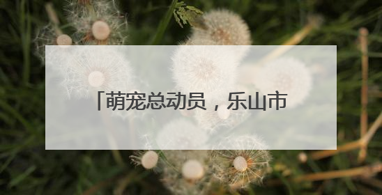 萌宠总动员，乐山市中区土主幼儿园教育集团举行庆六一活动