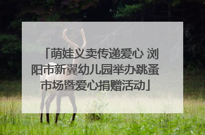 萌娃义卖传递爱心 浏阳市新翼幼儿园举办跳蚤市场暨爱心捐赠活动