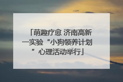 萌趣疗愈 济南高新一实验“小狗领养计划”心理活动举行